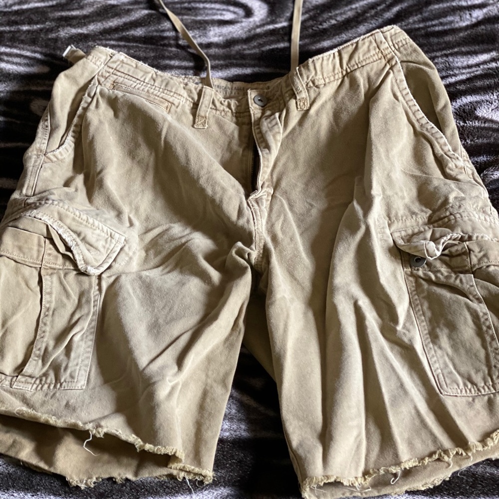 Cargo Shorts (American Eagle)
